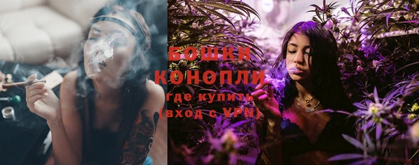 гашик Пересвет