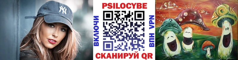 Псилоцибиновые грибы прущие грибы  Тайшет 