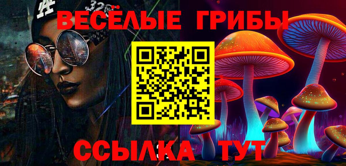Тайшет  Галлюциногенные грибы Magic Shrooms  Вход с VPN  Галлюциногенные грибы Magic Shrooms 