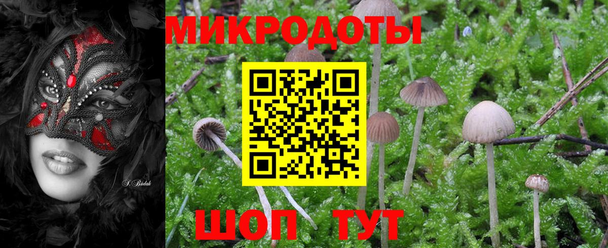 Галлюциногенные грибы MAGIC MUSHROOMS Тайшет